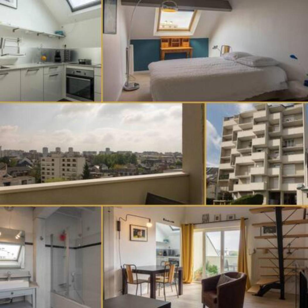 Le Duplex Ensoleille Du Parc * Parking * Balcon * Διαμέρισμα Ορλεάνη Εξωτερικό φωτογραφία